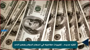 قفزة جديدة.. تغييرات مفاجئة في أسعار الدولار بمصر الأحد